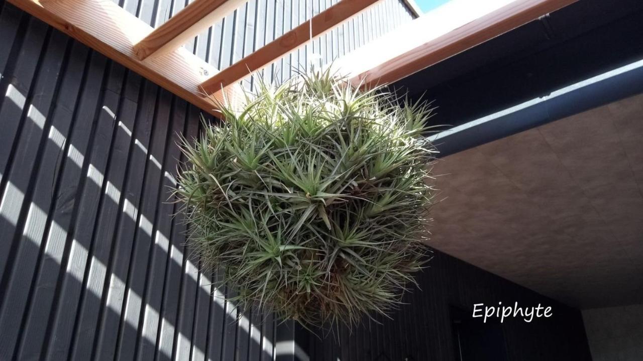 דירות פמפול Epiphytes Et Succulentes מראה חיצוני תמונה